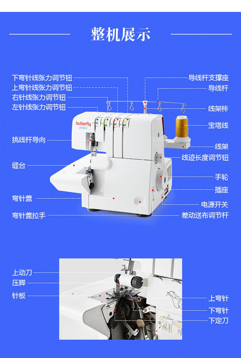 Butterfly JN884 Detail 6